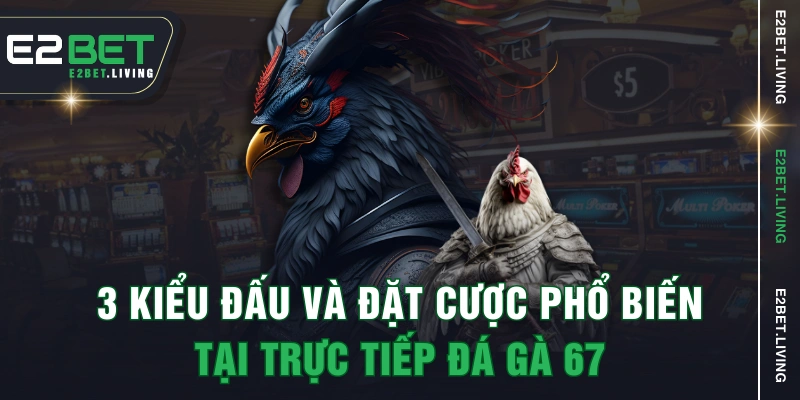 3 kiểu đấu và đặt cược phổ biến tại trực tiếp đá gà 67