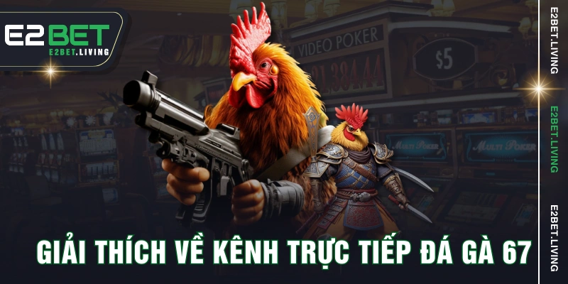 Giải thích về kênh trực tiếp đá gà 67