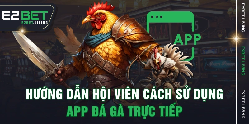 Hướng dẫn hội viên cách sử dụng app đá gà trực tiếp