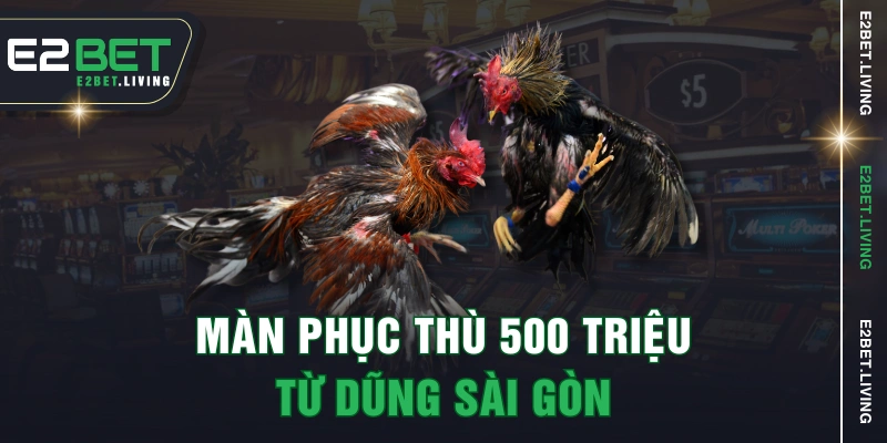 Màn phục thù 500 triệu từ Dũng Sài Gòn