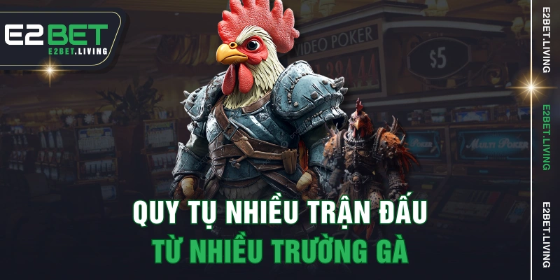 Quy tụ nhiều trận đấu từ nhiều trường gà