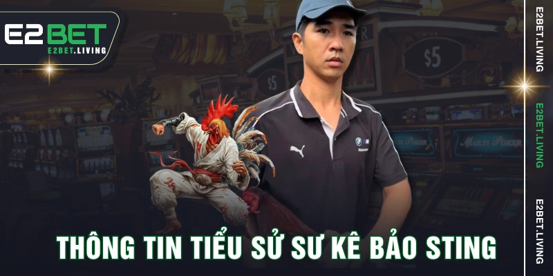 Thông tin tiểu sử sư kê Bảo Sting