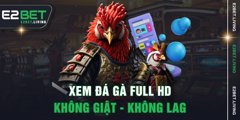 Xem đá gà Full HD, không giật - không lag