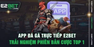 App Đá Gà Trực Tiếp E2BET - Trải Nghiệm Phiên Bản Cược Top 1
