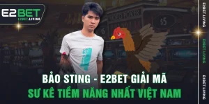 Bảo Sting - E2BET Giải Mã Sư Kê Tiềm Năng Nhất Việt Nam