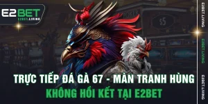 Trực Tiếp Đá Gà 67 - Màn Tranh Hùng Không Hồi Kết Tại E2BET