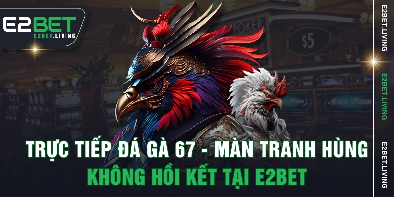Trực Tiếp Đá Gà 67 - Màn Tranh Hùng Không Hồi Kết Tại E2BET